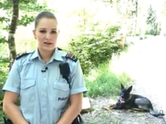 Winterthur ZH - Polizeihundeführerin gibt Tipps: Das hilft Hunden bei Hitze