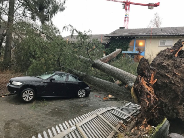 Luzern - Sturm sorgt für Schäden und Strassensperrungen
