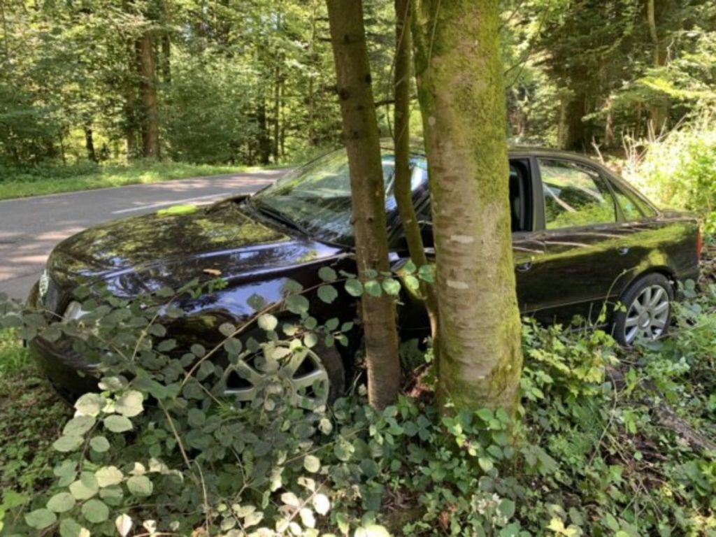 Verkehrsunfall Uster ZH - Junglenker (19) prallt gegen Baum