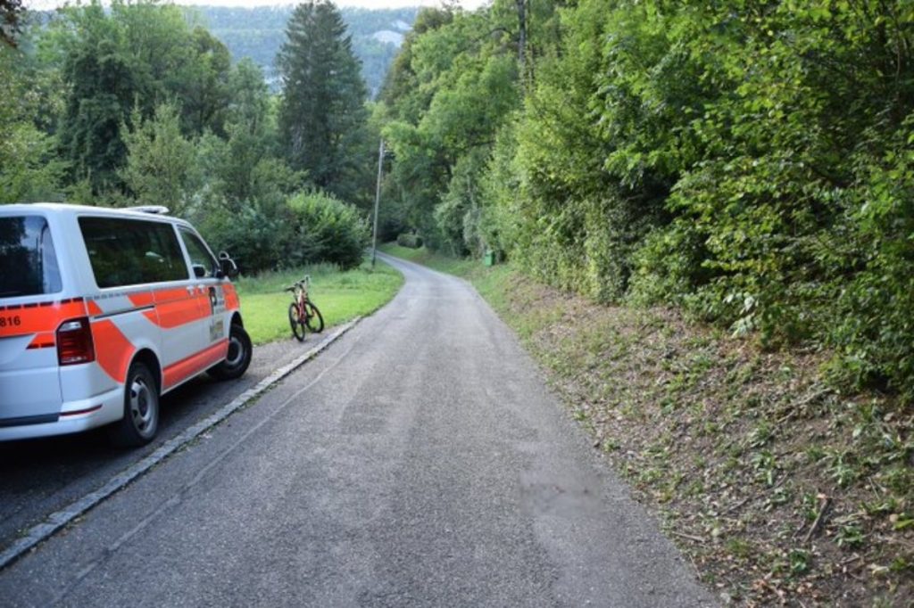 Unfall Bärschwil SO - Hund tödlich verletzt - Lenkerin gesucht
