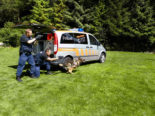 Luzern LU - Polizeihund bei Festnahme von drei Sprayern eingesetzt