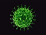 Coronavirus NEW