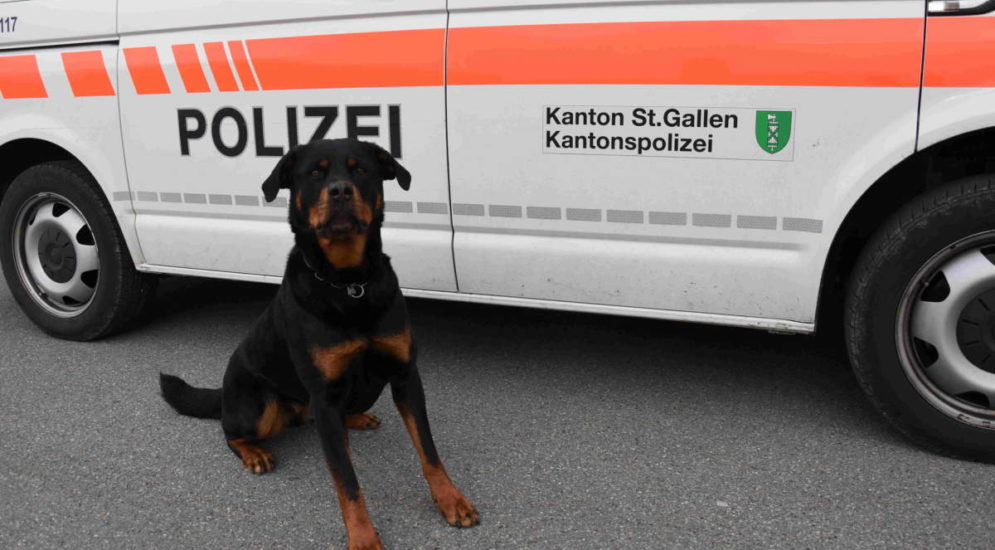Wittenbach SG: Polizeihund Yodi spürt Flüchtigen auf