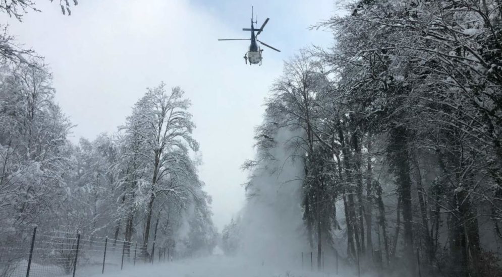 Bülach ZH: Polizei-Helikopter bläst Schnee von den Bäumen