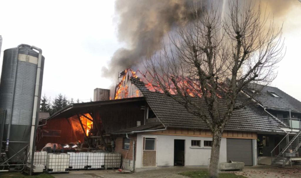 Mauensee LU: Scheune mit angebauten Wohnhaus in Brand geraten