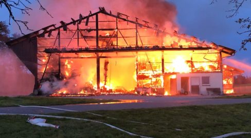Brand in Heldswil TG: Scheune komplett zerstört