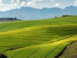Schweiz: Landwirtschaftliches Paket - Hofdünger, Milch, Direktzahlungen und Hanfkulturen