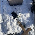 Menziken AG: Jugendlicher beschädigt 22 Gräber