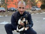 Greifensee ZH: Kätzchen aus Schnitzelbunker gerettet