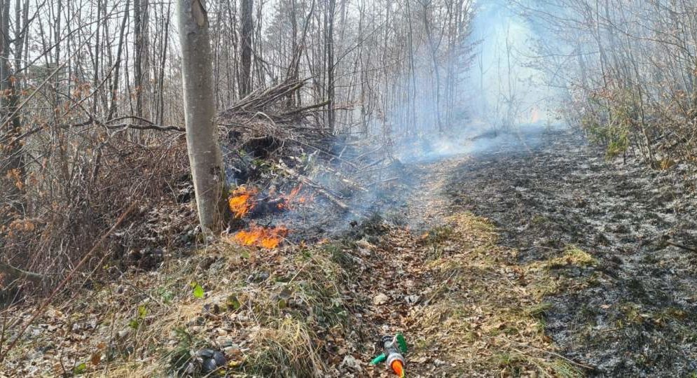Balsthal SO: Waldbodenbrand durch unzureichend gelöschte Feuerstelle