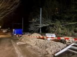 Basel BS: Baum fällt auf Tram-Leitung - 25 Personen sitzen fest