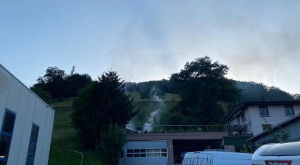 Wintersingen BL: Gartenhaus durch Brand komplett zerstört