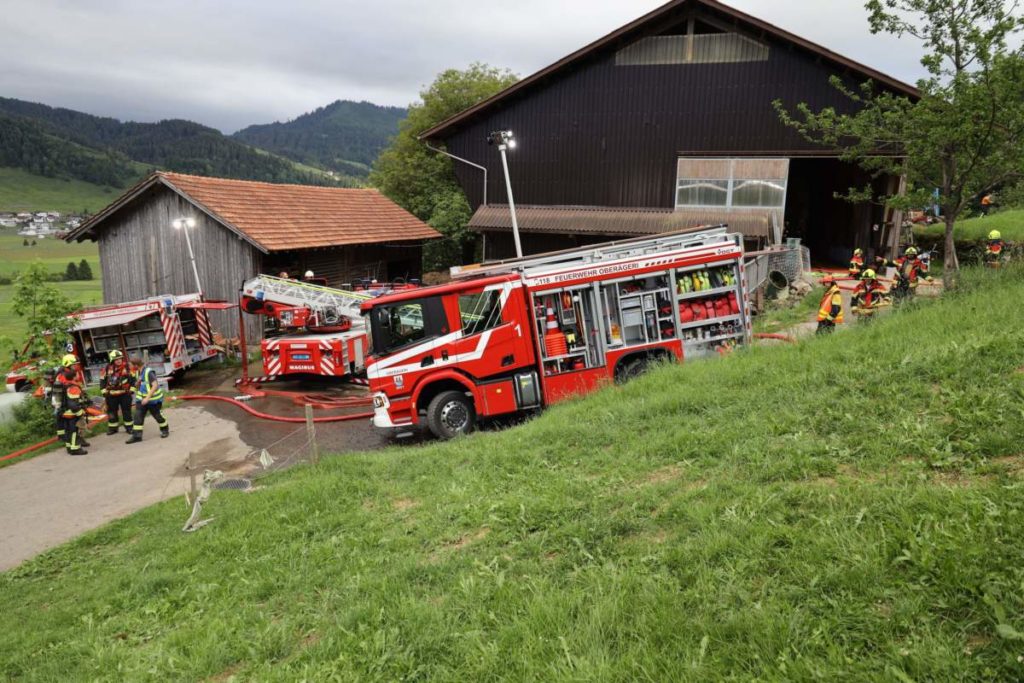 Oberägeri ZG: Ein Dutzend Kühe vor Mottbrand gerettet