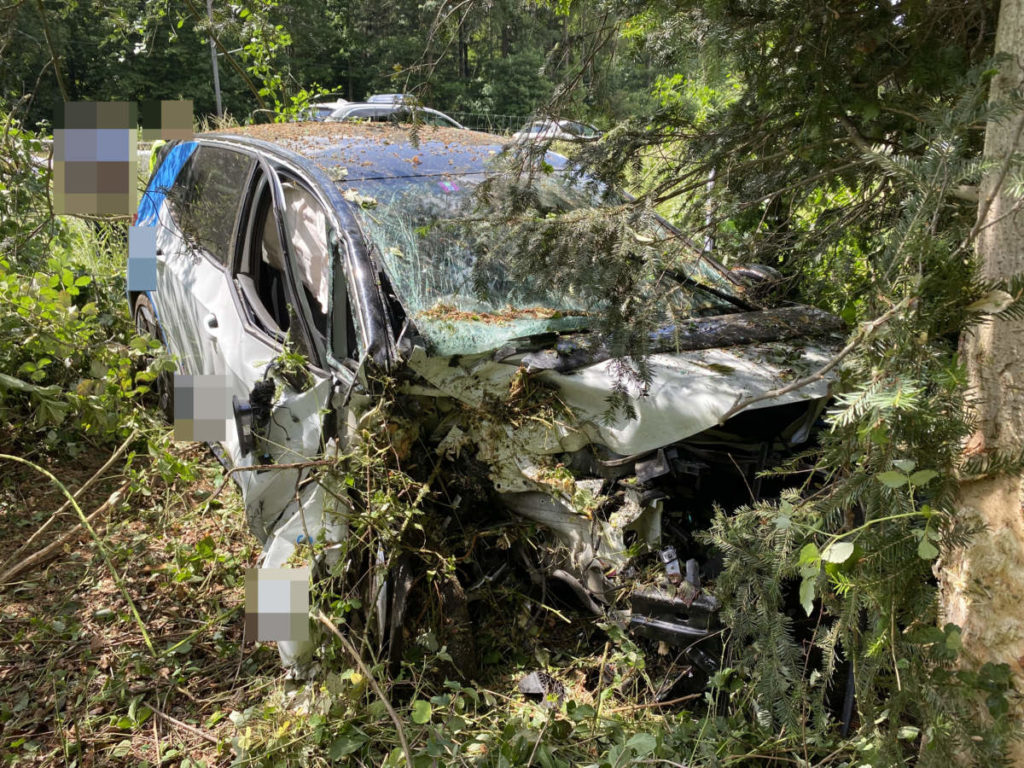 Lenzburg AG: Bei Unfall auf der A1 Wildschutzzaun durchbrochen