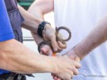 St.Gallen: 21-Jähriger nach Berührungen von Kindern festgenommen