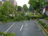 Kanton Aargau - Umgestürzte Bäume wegen Unwetter