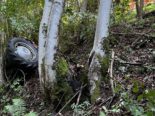 St. Niklausen OW: 15-Jähriger nach Unfall mit Traktor verletzt