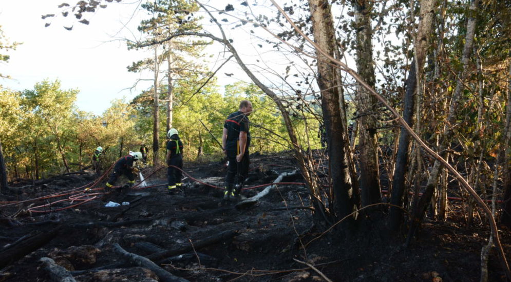 Chaumont NE: Brand zerstört 2'800 Quadratmeter Wald
