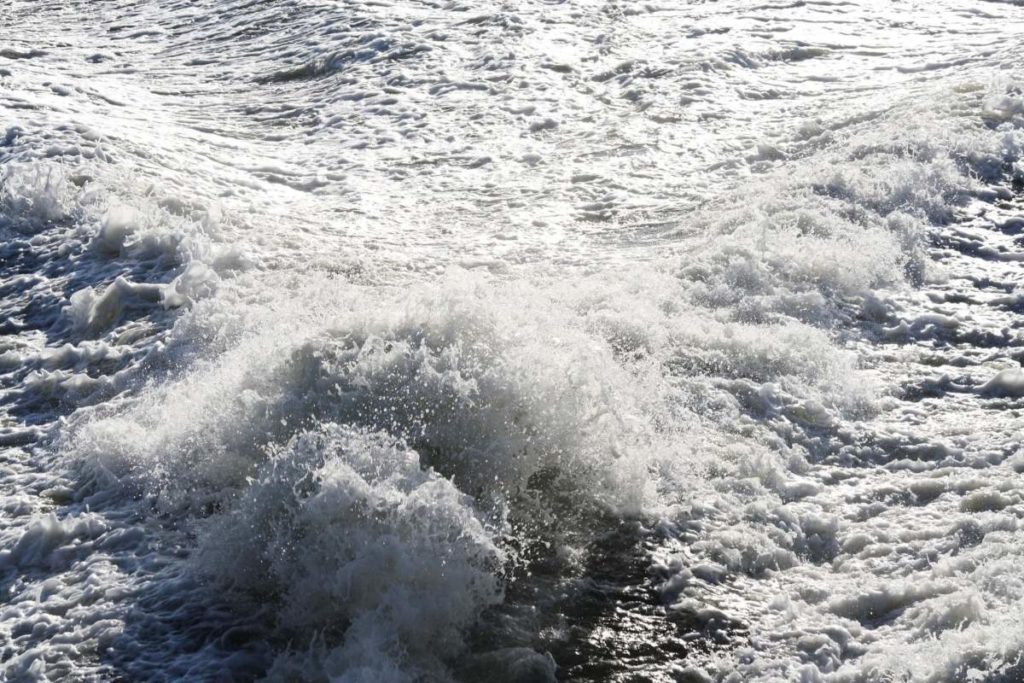 Schiffsunfall auf dem Zürichsee: Mann erheblich verletzt