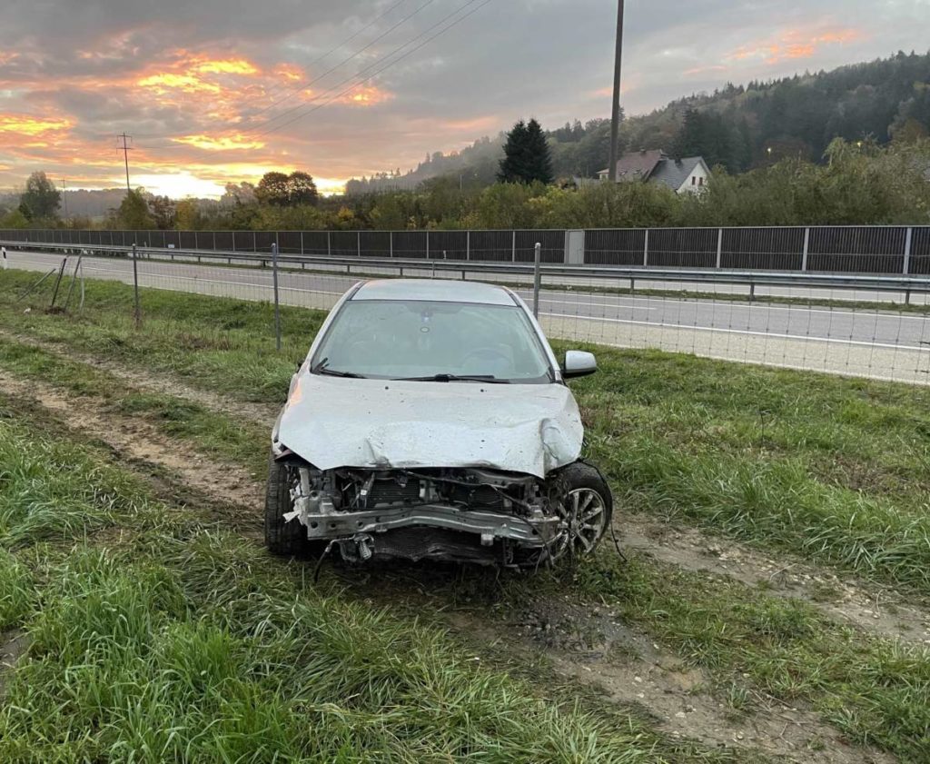 A1, Walterswil SO: Auto durchschlägt bei Unfall Wildschutzzaun