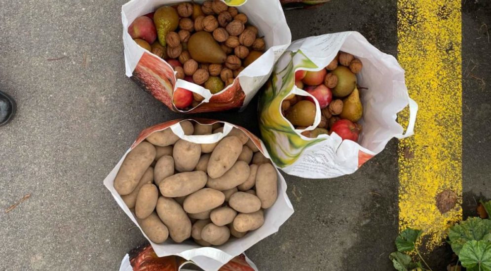 Cham ZG: Eier, Baumnüsse und Kartoffeln aus Hofladen gestohlen