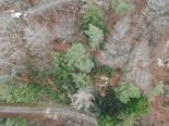 Dorf und Zumikon ZH: Zwei schwere Arbeitsunfälle in Wäldern