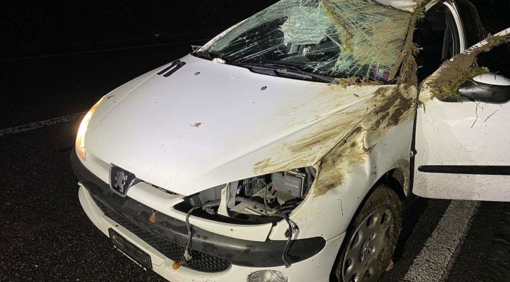 Röschenz BL: 22-jähriger Autofahrer verursacht Unfall