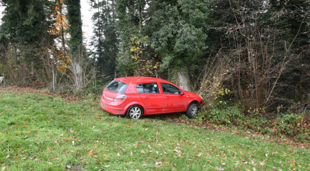 Nottwil LU: Autofahrer prallt bei Unfall gegen Baum