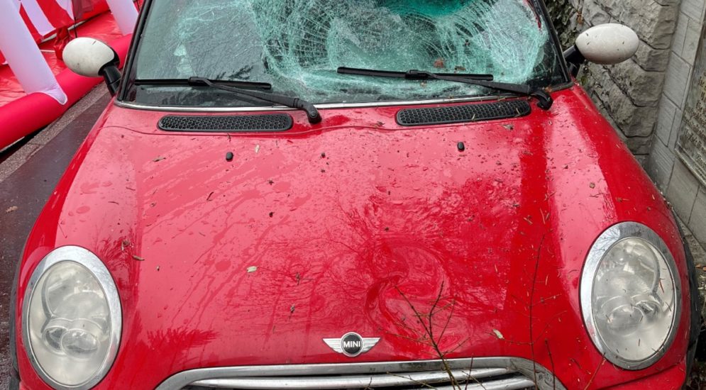 Frauenfeld: Fussgängerin von Auto angefahren und verstorben