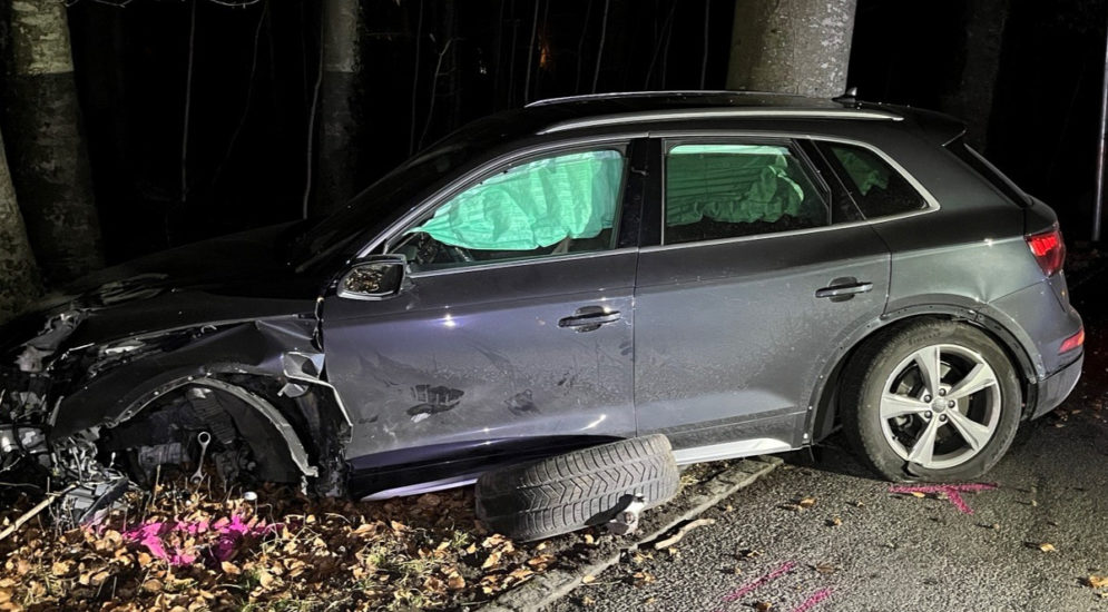 Alpnach OW: Bei Unfall mit Strassenlaterne und Baum kollidiert