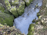 La Joux, Ried bei Kerzers: Ökosysteme durch Verschmutzung geschädigt