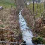 Neuheim ZG: Hunderte Liter Milch im Sarbach