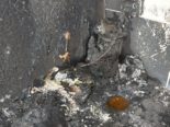 Birr AG: Zwei Katzen sterben bei Wohnungsbrand