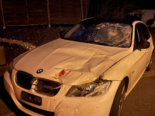 Alpnach OW: Hirsch wird bei Unfall getötet, Auto Totalschaden