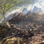 Balm bei Günsberg SO: Waldbrand gelöscht