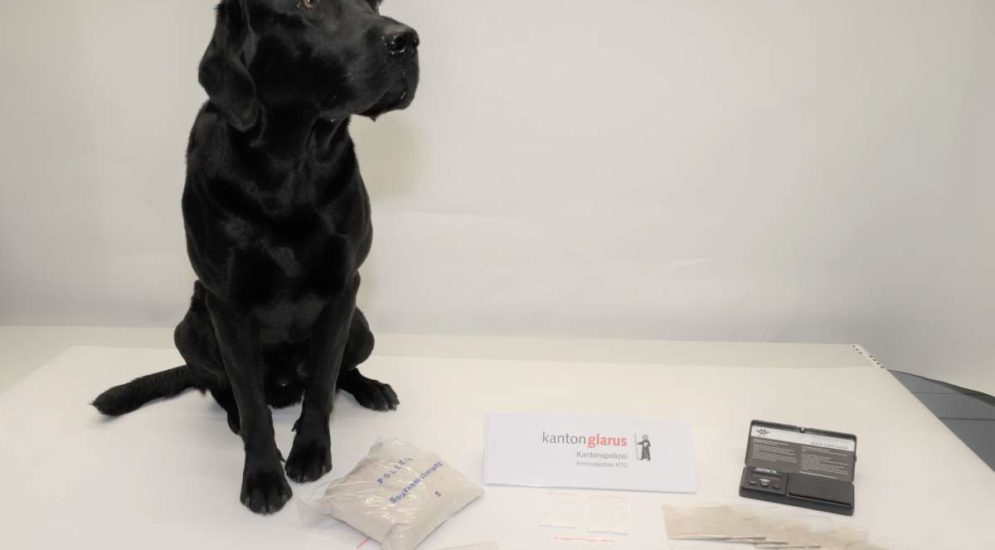 Niederurnen: Drogendealer dank Spürhund "Flake" verhaftet