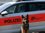 Höri: Polizeihund schnappt Messerstecher - Opfer schwer verletzt