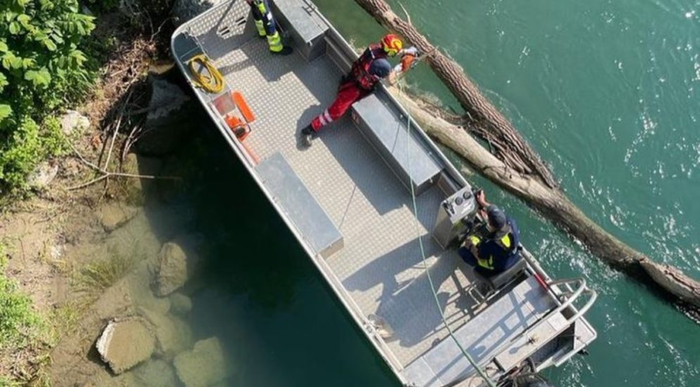 Bern: An Brücke hängengebliebener Baumstamm löst Einsatz aus