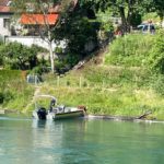 Bern: An Brücke hängengebliebener Baumstamm löst Einsatz aus