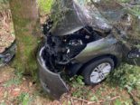 Hünenberg ZG: Bei Unfall in Baum geprallt - Fahrer erheblich verletzt