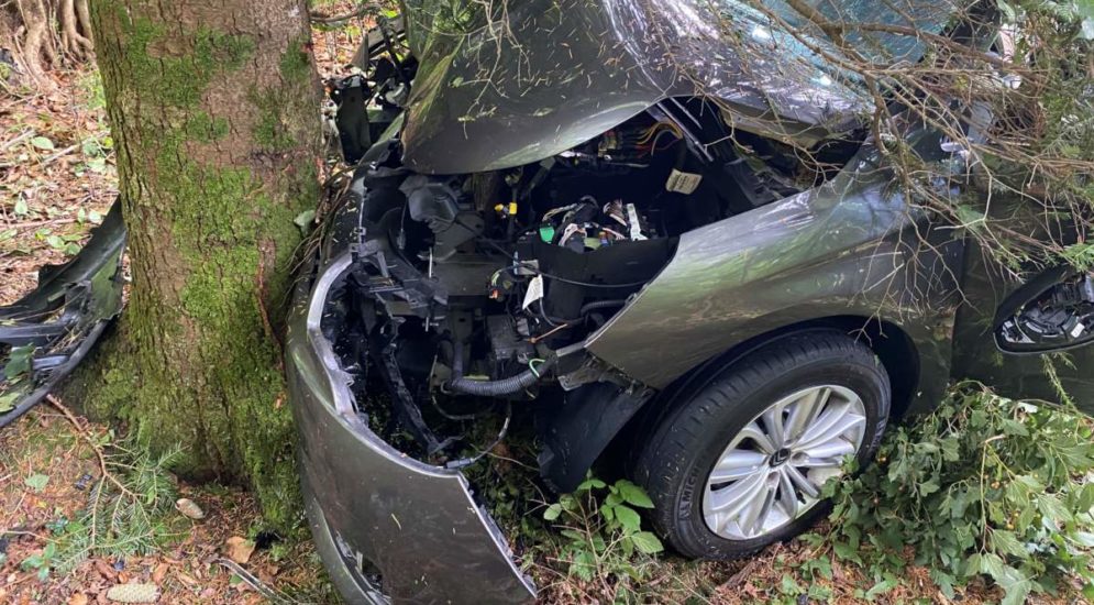 Hünenberg ZG: Bei Unfall in Baum geprallt - Fahrer erheblich verletzt