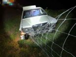 A3, Möhlin AG: Lenkerin durchbricht bei Unfall Wildschutzzaun