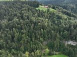 Fahrni bei Thun: Mann tot im Luegwald aufgefunden