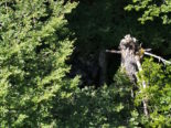 Unfall in Quinten: 100 Meter steilen Abhang hinuntergestürzt und verstorben
