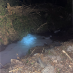 Murist FR: Gewässerverschmutzung im Ruisseau des Combes