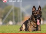 Bürglen OW: Polizeihund findet Dieb bei einer Feuerstelle