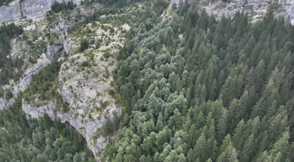 Grindelwald BE: Vermisster Mann leblos aufgefunden