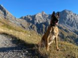 Unterwallis: Polizeihund rettet verletzte Person
