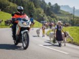 Appenzell AI: Grossviehschau führt zu Verkehrsbehinderungen und Sperrungen