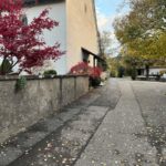 Stein am Rhein SH: Polizei sucht Zeugen von Diebstahl an Beerdigung